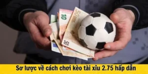 Cách Đọc Kèo 2.75 Và Kinh Nghiệm Đặt Cược Luôn Thắng Lớn