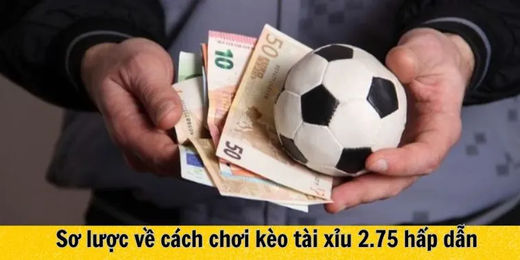 Cách Đọc Kèo 2.75 Và Kinh Nghiệm Đặt Cược Luôn Thắng Lớn