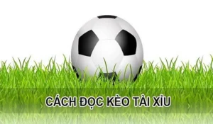 Bí Quyết Soi Kèo Tài Xỉu Bóng Đá Hiệu Quả Và Chính Xác Nhất Hiện Nay