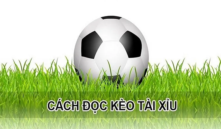 Bí Quyết Soi Kèo Tài Xỉu Bóng Đá Hiệu Quả Và Chính Xác Nhất Hiện Nay