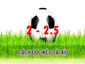 Hướng Dẫn Cách Đọc Kèo 2.25 Và Mẹo Cược Hiệu Quả