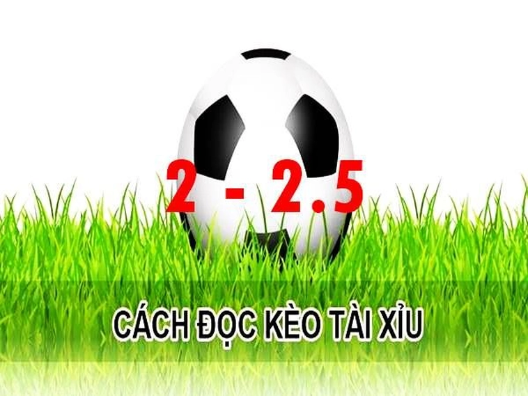 Hướng Dẫn Cách Đọc Kèo 2.25 Và Mẹo Cược Hiệu Quả