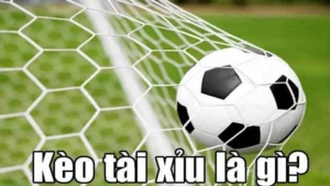 Cách Soi Kèo Tài Xỉu Bóng Đá Hiệu Quả Nhất Hiện Nay