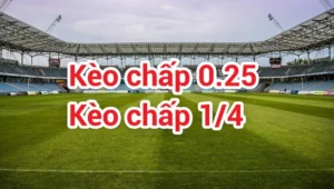 Tìm Hiểu Cách Đọc Kèo Chấp 0.25 Trong Các Trận Cầu Đỉnh Cao
